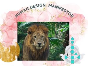 Human Design Manifestor