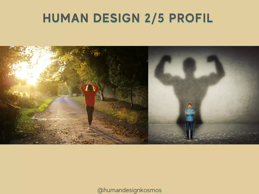 Human Design 2/5
